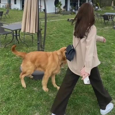 名流男子太棘手