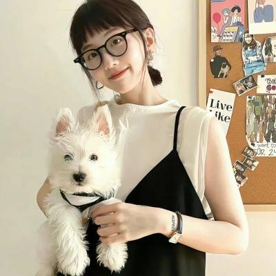 房子与狗